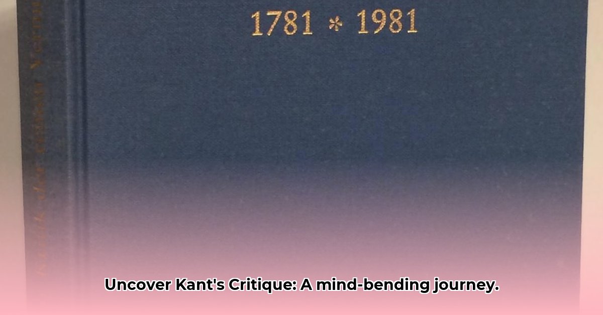 kritik-der-reinen-vernunft